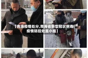 【青海疫情处分,青海省新型冠状病毒疫情防控处置小组】