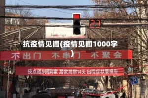 抗疫情见闻(疫情见闻1000字)
