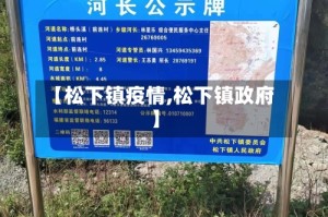 【松下镇疫情,松下镇政府】