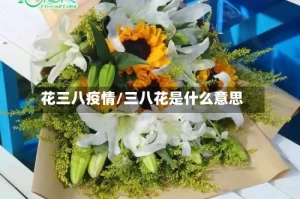 花三八疫情/三八花是什么意思