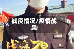战疫情况/疫情战果