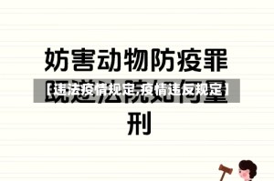 【违法疫情规定,疫情违反规定】