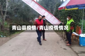 青山县疫情/青山疫情情况