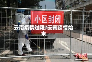 云南疫情过程/云南疫情始末