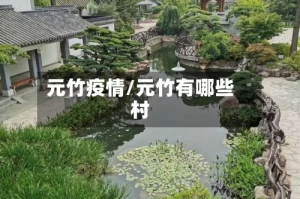元竹疫情/元竹有哪些村