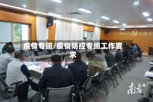 疫情专班/疫情防控专班工作要求