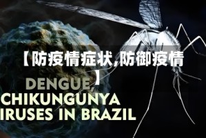 【防疫情症状,防御疫情】