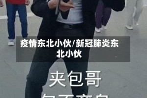 疫情东北小伙/新冠肺炎东北小伙