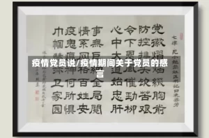 疫情党员说/疫情期间关于党员的感言
