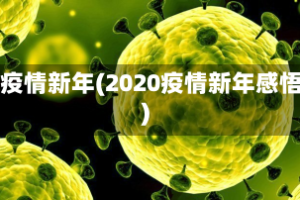 论疫情新年(2020疫情新年感悟)