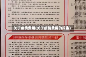 关于疫情费用(关于疫情费用的报告)
