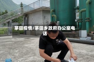 茅田疫情/茅田乡政府办公室电话