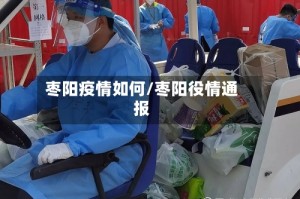 枣阳疫情如何/枣阳役情通报