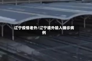 辽宁疫情老外/辽宁境外输入确诊病例