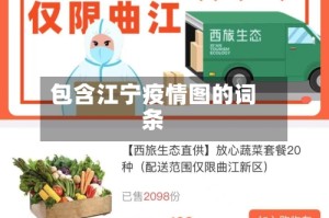 包含江宁疫情图的词条