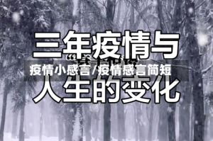 疫情小感言/疫情感言简短