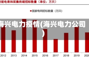 海兴电力疫情(海兴电力公司)