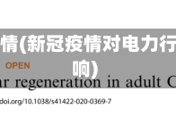 电力与疫情(新冠疫情对电力行业的影响)