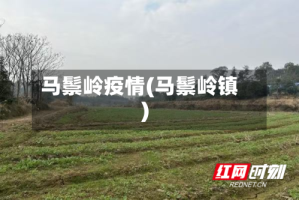 马鬃岭疫情(马鬃岭镇)
