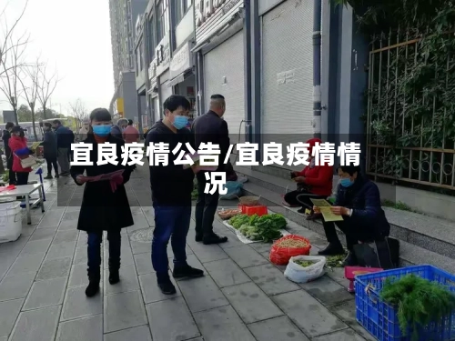 宜良疫情公告/宜良疫情情况-第3张图片