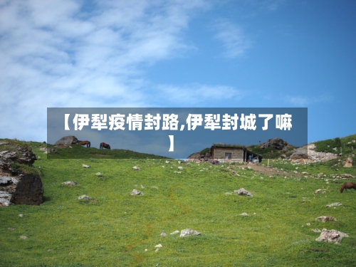 【伊犁疫情封路,伊犁封城了嘛】-第2张图片