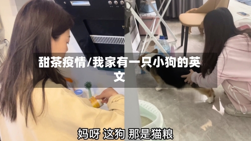 甜茶疫情/我家有一只小狗的英文-第1张图片