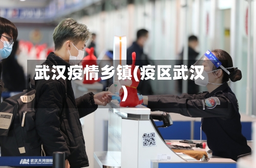 武汉疫情乡镇(疫区武汉)-第2张图片