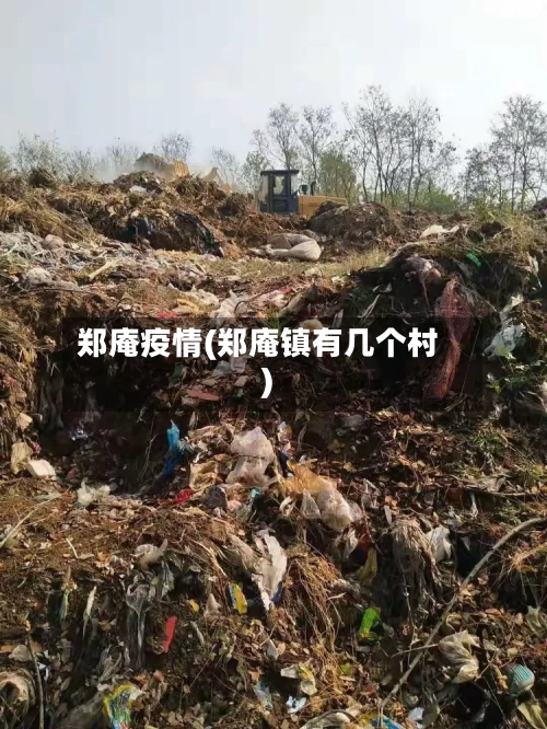 郑庵疫情(郑庵镇有几个村)-第1张图片