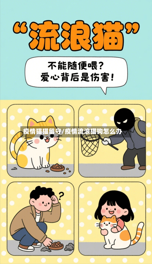 疫情猫猫留守/疫情流浪猫狗怎么办-第1张图片