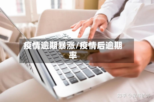 疫情逾期暴涨/疫情后逾期率-第2张图片