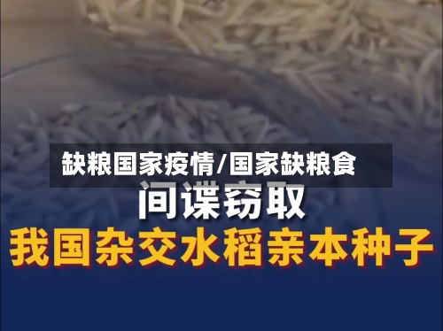 缺粮国家疫情/国家缺粮食-第2张图片