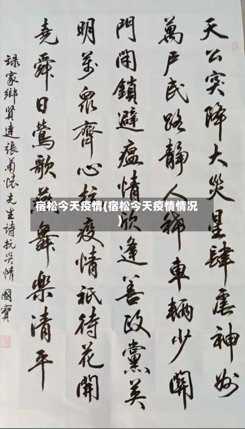 宿松今天疫情(宿松今天疫情情况)-第3张图片