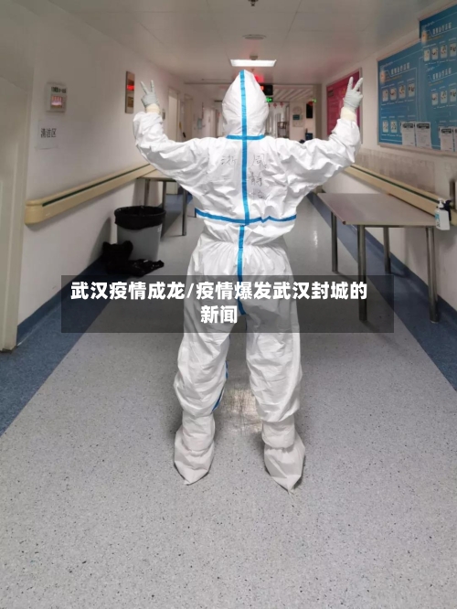 武汉疫情成龙/疫情爆发武汉封城的新闻-第2张图片