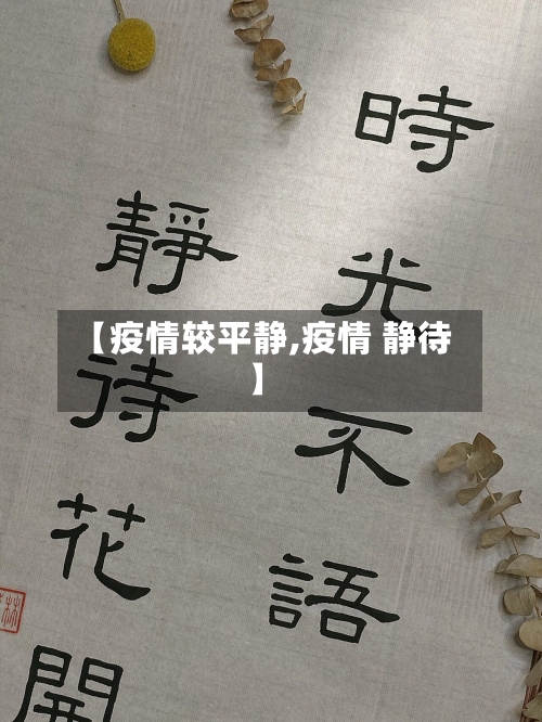 【疫情较平静,疫情 静待】-第1张图片