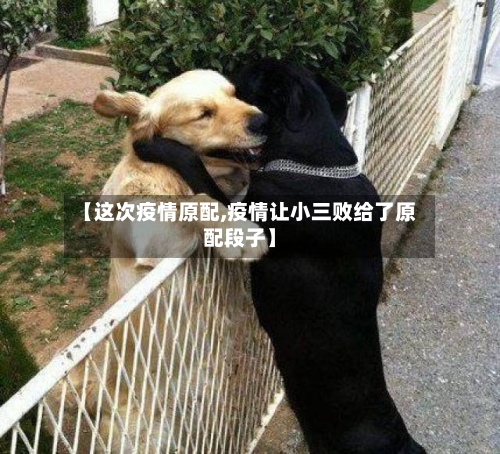 【这次疫情原配,疫情让小三败给了原配段子】-第2张图片