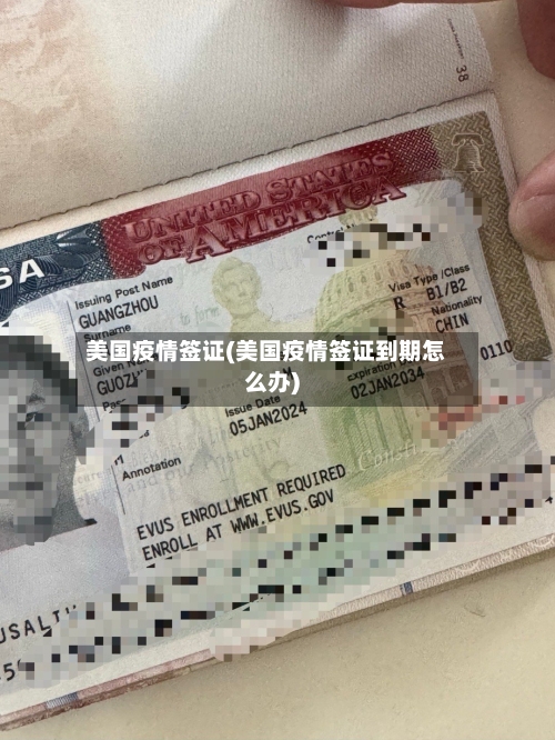美国疫情签证(美国疫情签证到期怎么办)-第1张图片