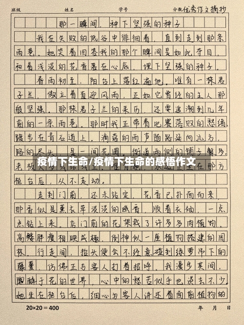 疫情下生命/疫情下生命的感悟作文-第3张图片