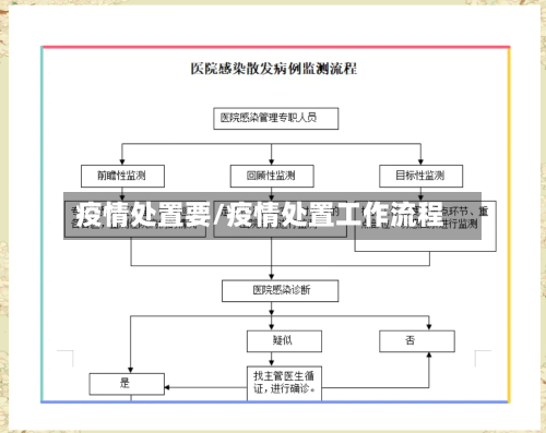 疫情处置要/疫情处置工作流程-第1张图片
