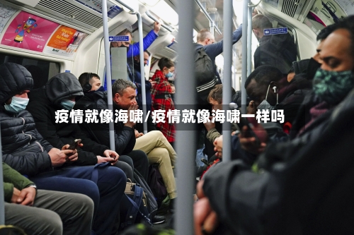 疫情就像海啸/疫情就像海啸一样吗-第1张图片