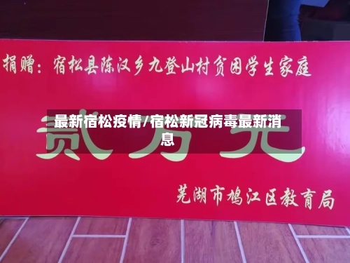 最新宿松疫情/宿松新冠病毒最新消息-第1张图片