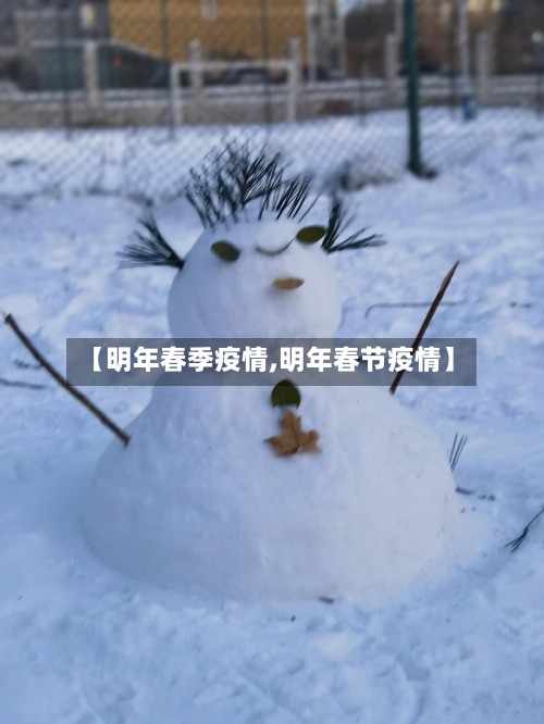 【明年春季疫情,明年春节疫情】-第2张图片