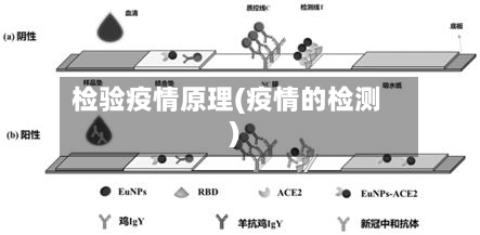 检验疫情原理(疫情的检测)-第1张图片
