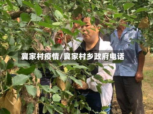 冀家村疫情/冀家村乡政府电话-第1张图片