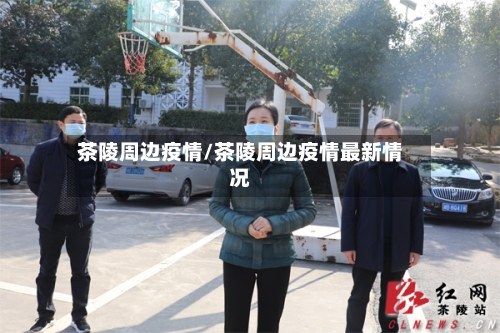 茶陵周边疫情/茶陵周边疫情最新情况-第1张图片