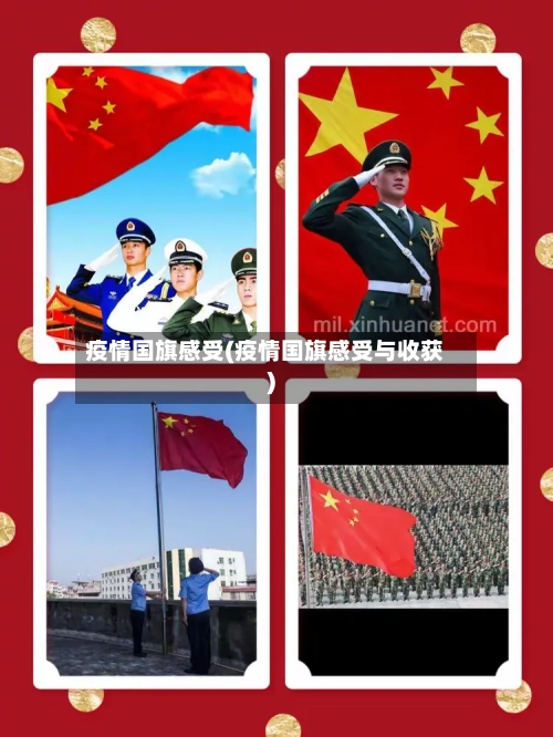 疫情国旗感受(疫情国旗感受与收获)-第2张图片
