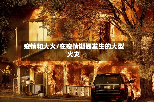 疫情和大火/在疫情期间发生的大型火灾-第2张图片