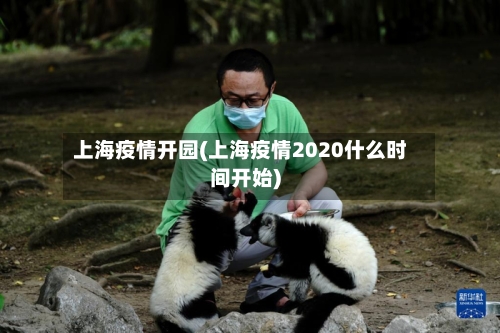 上海疫情开园(上海疫情2020什么时间开始)-第2张图片
