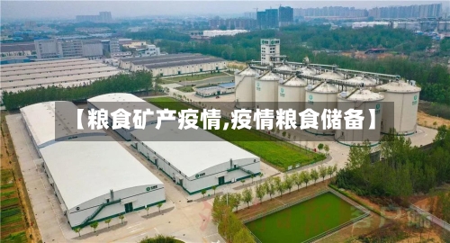 【粮食矿产疫情,疫情粮食储备】-第2张图片