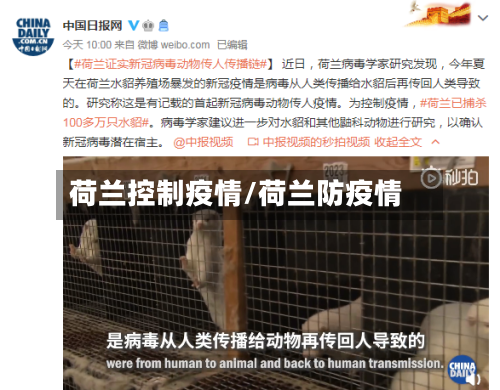 荷兰控制疫情/荷兰防疫情-第1张图片