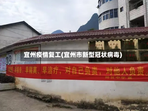 宜州疫情复工(宜州市新型冠状病毒)-第1张图片